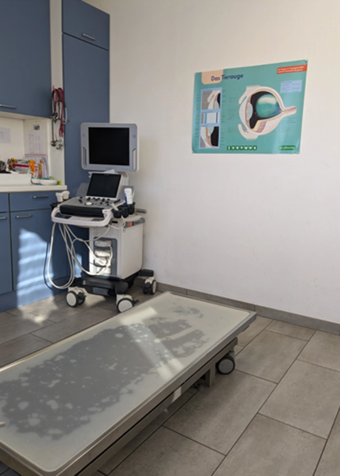 Ein Behandlungszimmer der Tierarztpraxis Dr. med. vet. Ingrid Roos